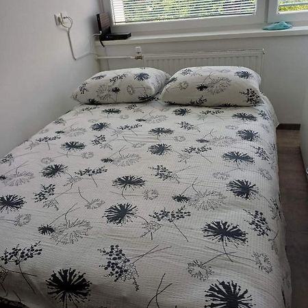 Apartma Nadja マリボル エクステリア 写真