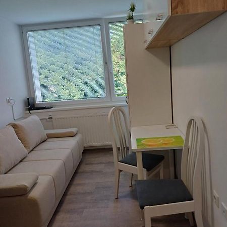 Apartma Nadja マリボル エクステリア 写真