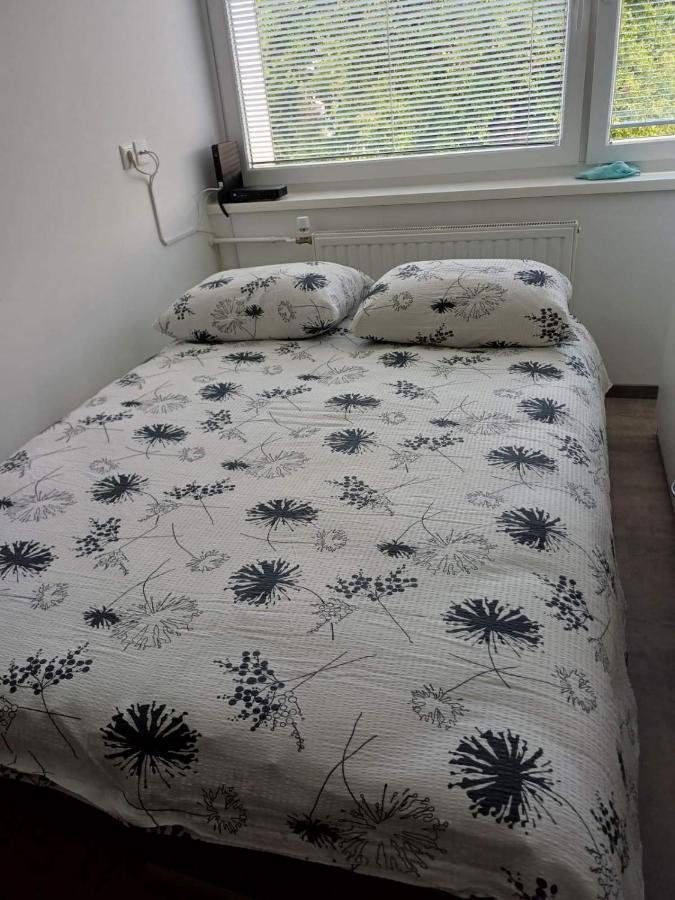 Apartma Nadja マリボル エクステリア 写真