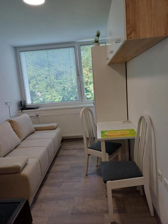 Apartma Nadja マリボル エクステリア 写真