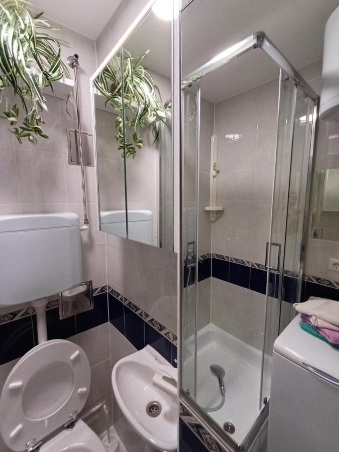 Apartma Nadja マリボル エクステリア 写真