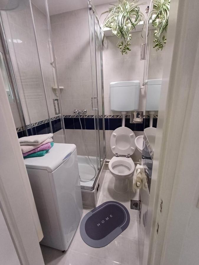 Apartma Nadja マリボル エクステリア 写真